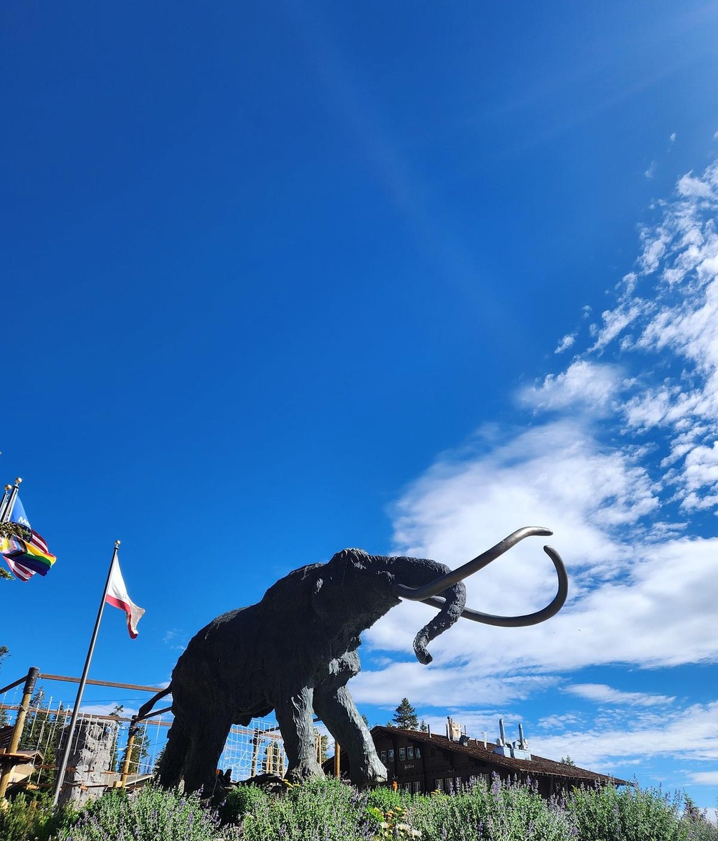 Click for slide show Distribution Opportunities Offered|Lorem Corporation